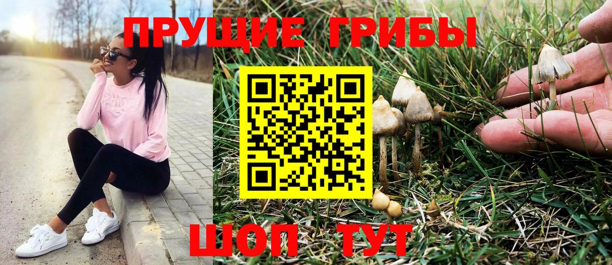Галлюциногенные грибы мицелий  Вход с VPN  Менделеевск 